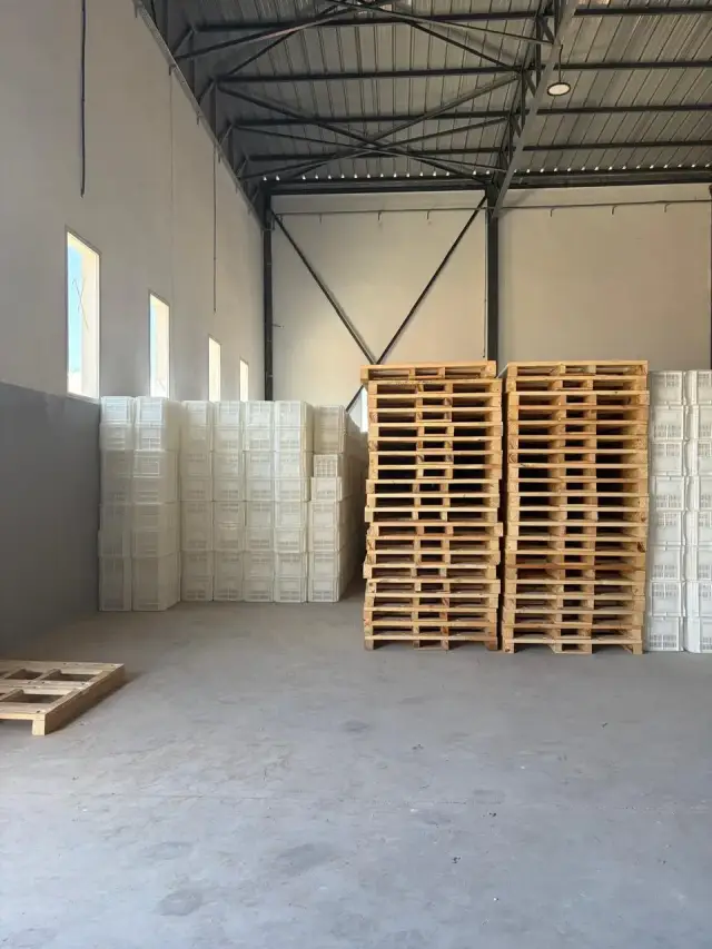 Palettes bois — South Pole, El Jadida